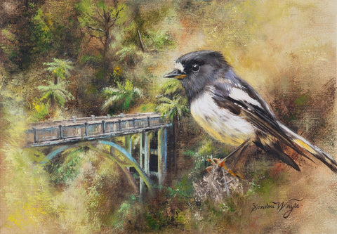 Sandra Whyte-Bridge to Nowhere-Tomtit