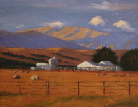 Philip Beadle-Evening Ida Valley.