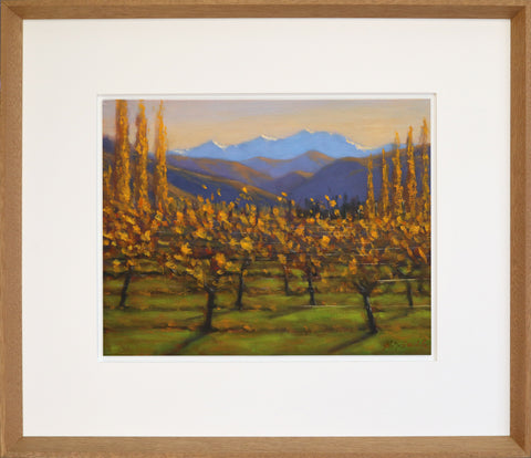 Philip Beadle-Coronet Peak from Gibbston Valley