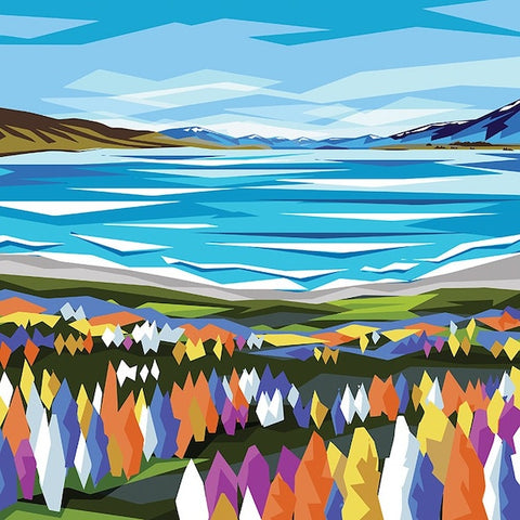 Ira Mitchell-Tekapo Lupins