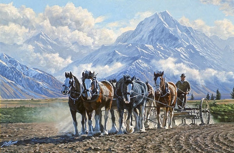 Peter Morath-Cook with Clysdales approaching