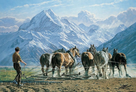 Peter Morath-Clysdales
