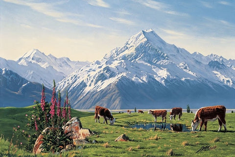 Peter Morath-Foxgloves Mt Cook