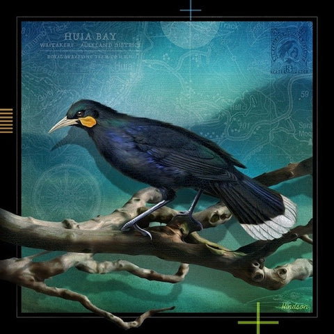 Julian Hindson-Huia