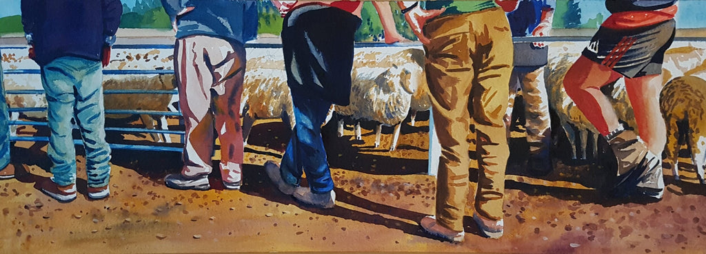 Kelvin McMillan-Deep Pockets, Coalgate Sale Yards,Sheep .Limited edition hand signed giclee print