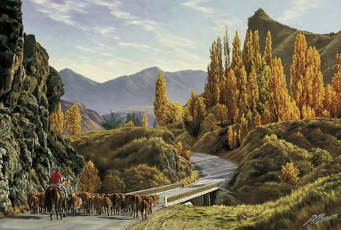 Peter Morath-Kawarau Gorge