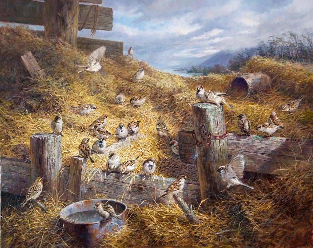 Ben Ho- Paradise (Sparrows).