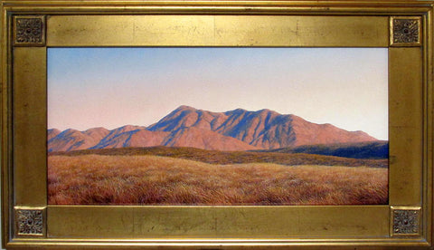 Mark Rodgers- Ahuriri Valley