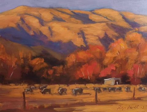 Philip Beadle-Crown Range from Speargrass Flat