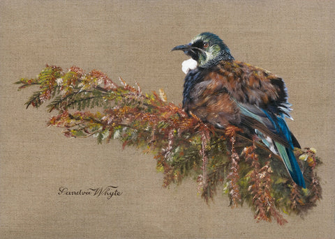 Sandra Whyte-Embellished