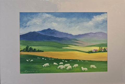 Annette Dickison-South Island Sheep