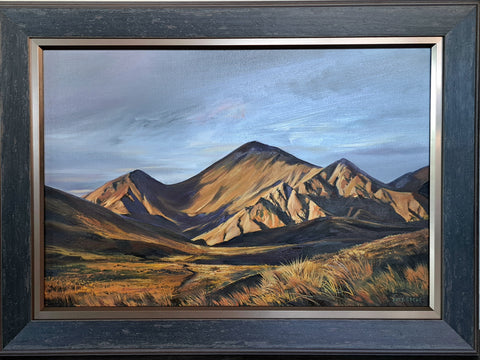 Tony Roche-Lindis Pass