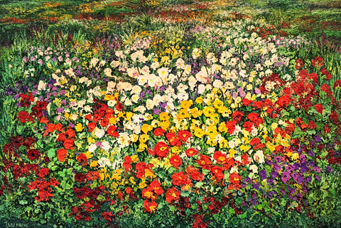 Tony Roche-Spring Meadows