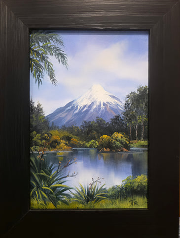 Tony Roche-#276 Mt Taranaki.