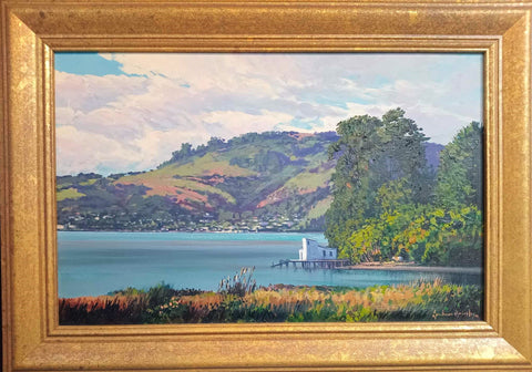 Graham Brinsley-Roseneath Otago Harbour