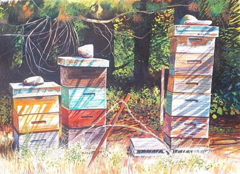 Kelvin McMillan-Rakaia Gorge Beehives, Another Hot February. Watercolour