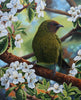 Tania Verrent-"Bellbird n Blossoms"