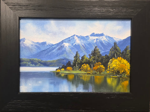 Tony Roche-#586 Lake Te Anau
