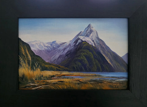 Tony Roche-#726 Mitre Peak foreshore