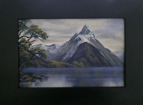 Tony Roche-#736 Rocky foreshore at Mitre Peak