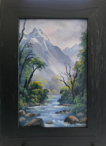 Tony Roche-#876 Milford Track.