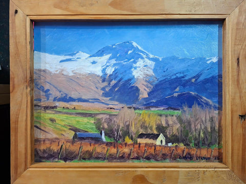 David Stroud-Gibbston Vineyard