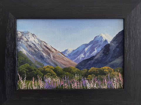 Tony Roche-#916 Mt Cook with Lupins
