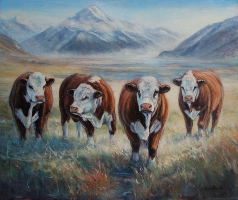 Angela Maxwell-Hereford Cattle near Mt Cook