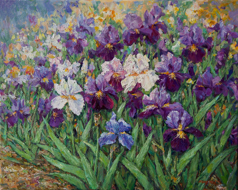 Mary Mai-The Iris Garden.