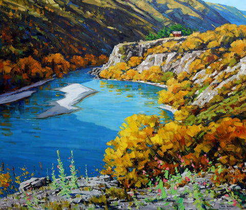 Bill Burke-Kawarau River, Otago