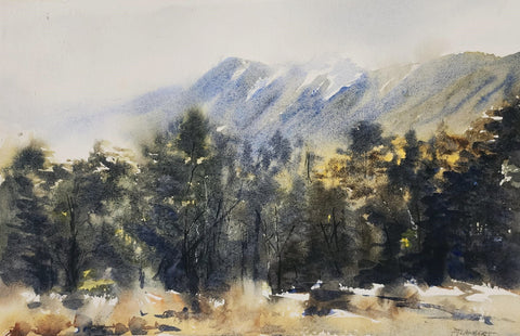 Deborah Lambert-.Livingston Mountains from Cascade Creek.