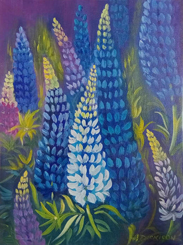 Annette Dickison-Lupins Central Otago