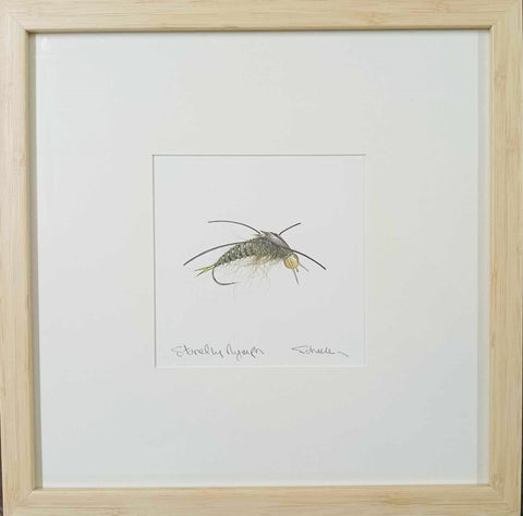 Michael Scheele-Stonefly Nymph.