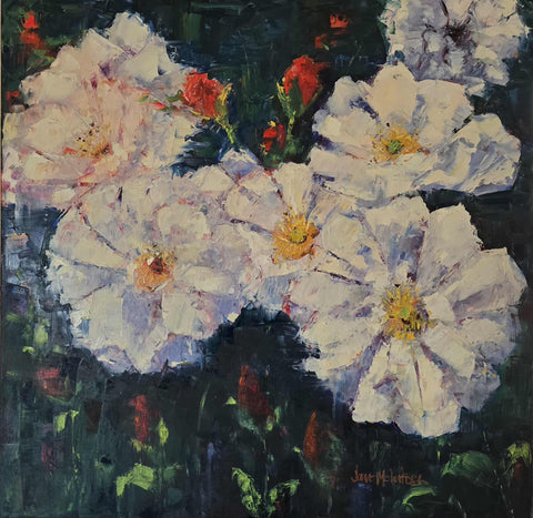 Jane McIntosh- Penelope Rose.