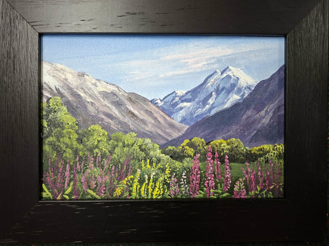 Tony Roche-Mt Cook from the Hermitage #455