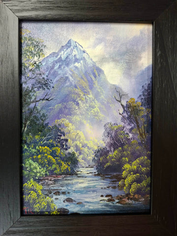 Tony Roche-Haast River #506