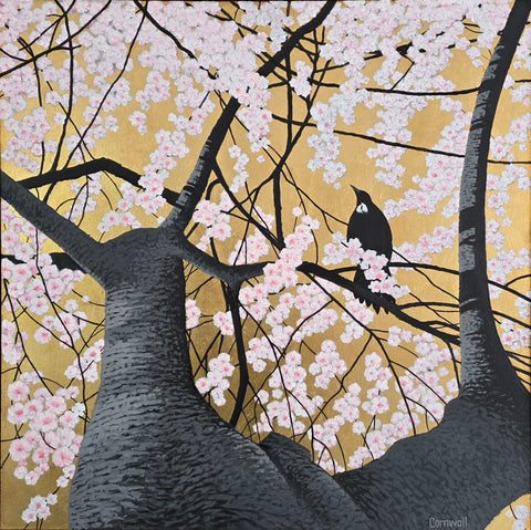 Craig Cornwall-Tui in a Cherry Tree