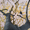 Craig Cornwall-Tui in a Cherry Tree