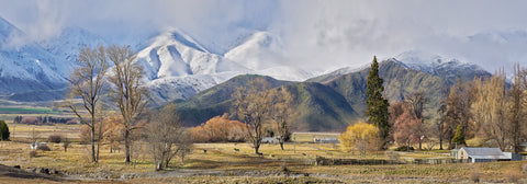 Peter Latham-Winters Arrival. Fine Art Print.