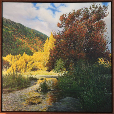 Darren Roberts-Arrow River autumn