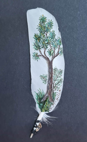 Beth McGill-Cabbage Tree