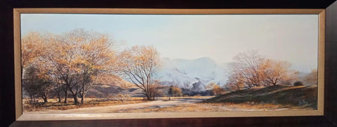 Craig Primrose -On the Road to Roys Peninsula Wanaka.