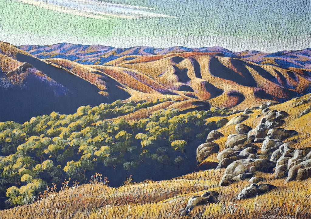 Wayne McPhail-Dry Hills, Green Willows, Lindis