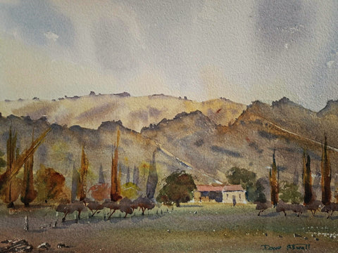 David Attwell-Earnscleugh, Otago