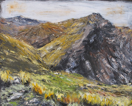 Nigel Wilson-Gillespies Pass