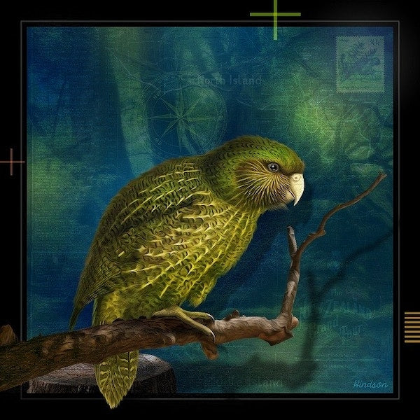 Julian Hindson-Kakapo