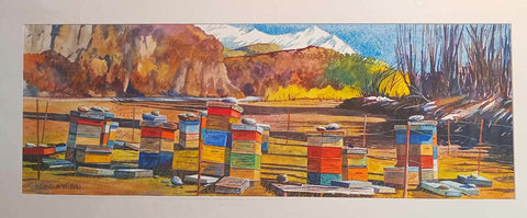 Kelvin McMillan-Beehives Maniatoto, Original watercolour