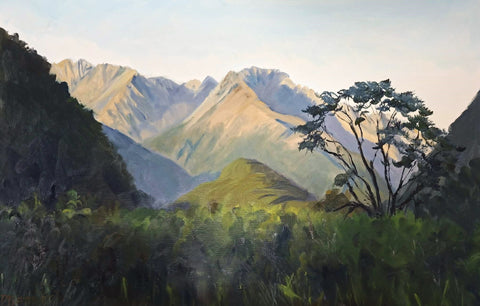 Debbie Lambert-Mountain Views from Lake McKerrow Hut.