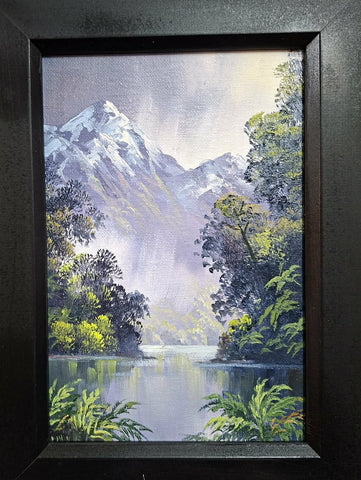 Tony Roche-Rainy day in Fiordland.