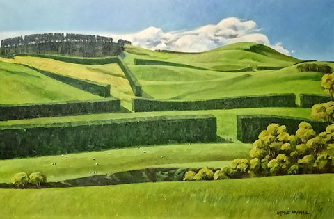 Wayne McPhail-Shelter Belts on the Waipara Downs (Canterbury)